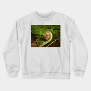 Fern Spiral Crewneck Sweatshirt